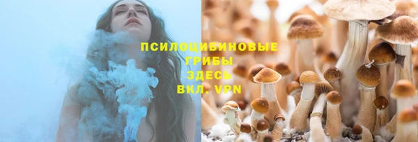 соль курить ск Ростов