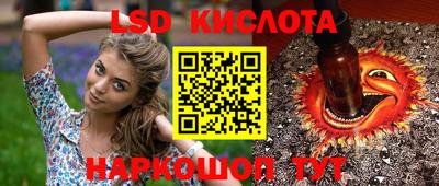 гашик Моздок