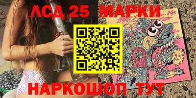 гашик Моздок