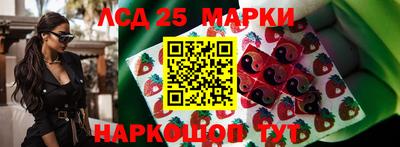гашик Моздок