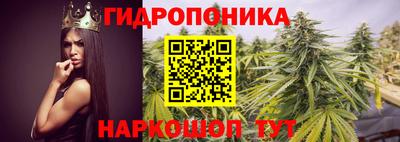 гашик Моздок