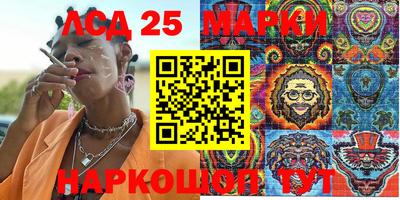гашик Моздок
