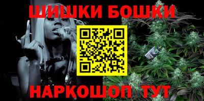 гашик Моздок