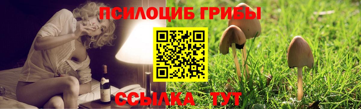 Галлюциногенные грибы Magic Shrooms  Галлюциногенные грибы прущие грибы  Богданович  Вход с VPN 